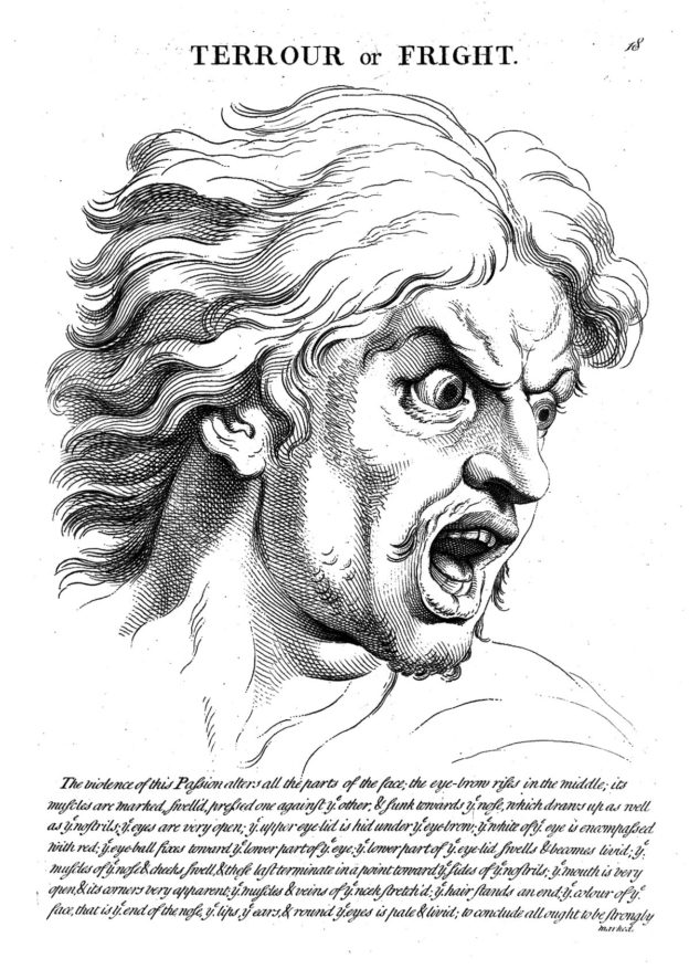 Terrour with fright" from le Brun,. Credit: Wellcome Collection. CC BY